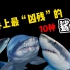世界上最凶残的10种鲨鱼，看完之后你还敢说它们不够可怕吗?