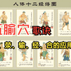 五腧穴歌诀 古人是对人体“气”的归类和总结