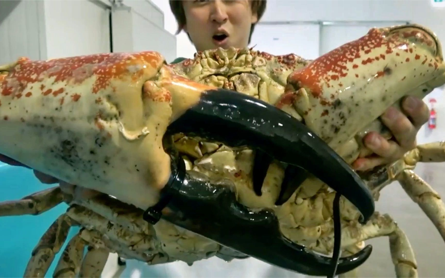 两万多块的32斤大螃蟹，见识一下土豪是怎么吃的，真是开眼界了