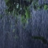 4K森林雷暴雨|大雨和夜间闪电的特大雷