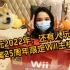 2022年了，还有人玩Wii？马里奥25周年限定Wii主机开箱~五款最爱游戏推荐~~加油鸭！！