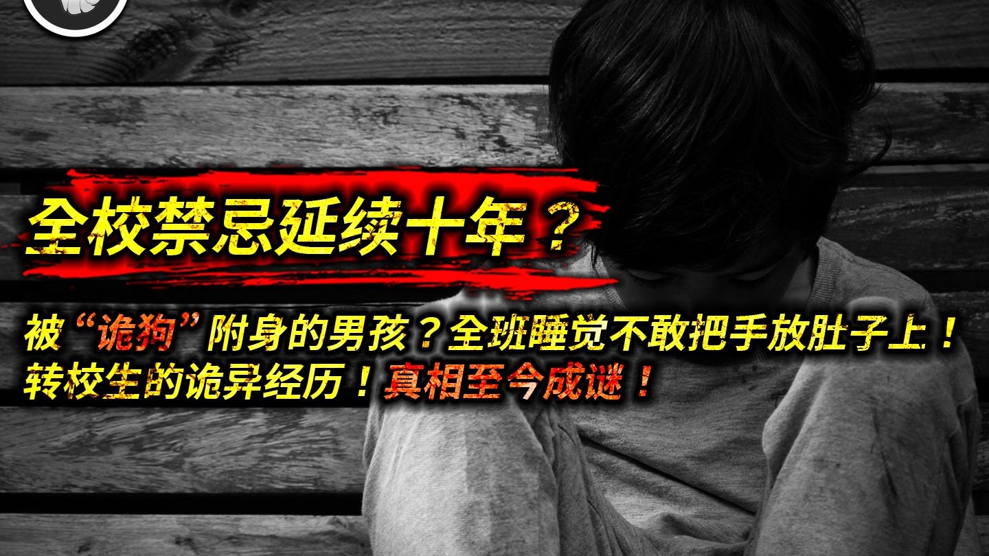 全班睡觉不敢把手放肚子上，只因转校生的诡异经历！全校禁忌延续十年，真相至今成谜！被 “诡狗” 附身的男孩！