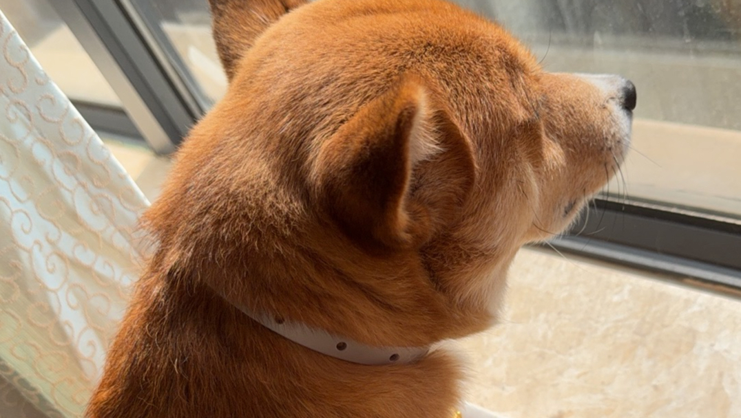 Come on in, Chili Lily