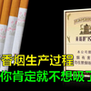 香烟是如何生产的？看完你肯定就不敢吸烟了，三分钟带你看懂