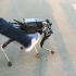 杭州小伙造机器狗，售价3万，怎么也踢不倒，能拉着人跑