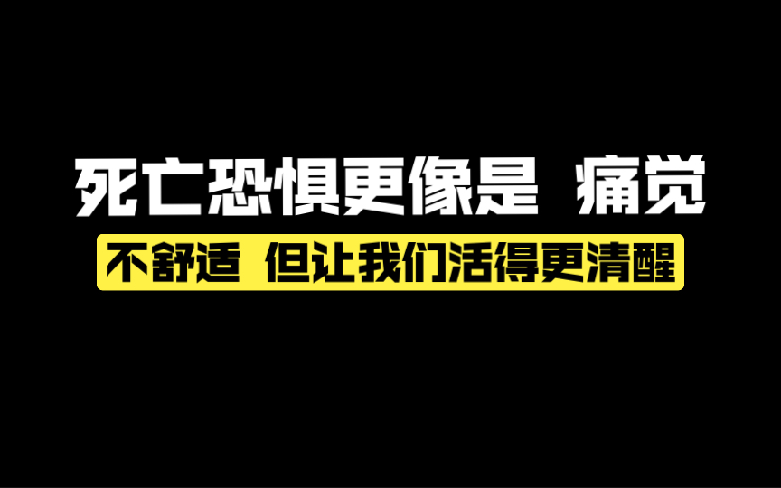 让我们系统性的聊聊「死亡」哔哩哔哩bilibili