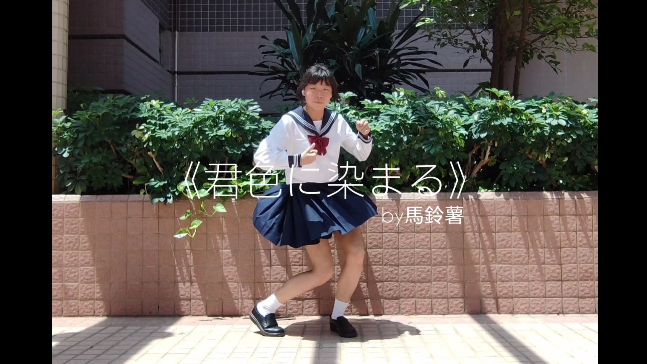 字幕下载