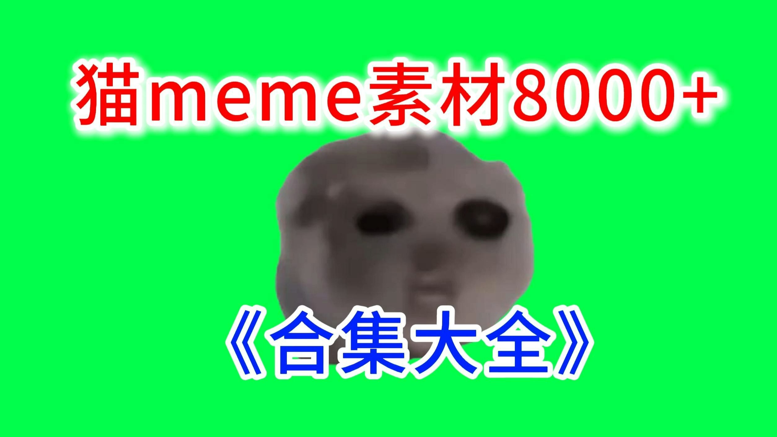【唱歌仓鼠！】猫meme绿幕素材完整分享～，猫meme素材整合分享，合集分享！