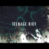 【歌ってみた】TEENAGE RIOT covered by 楽奈