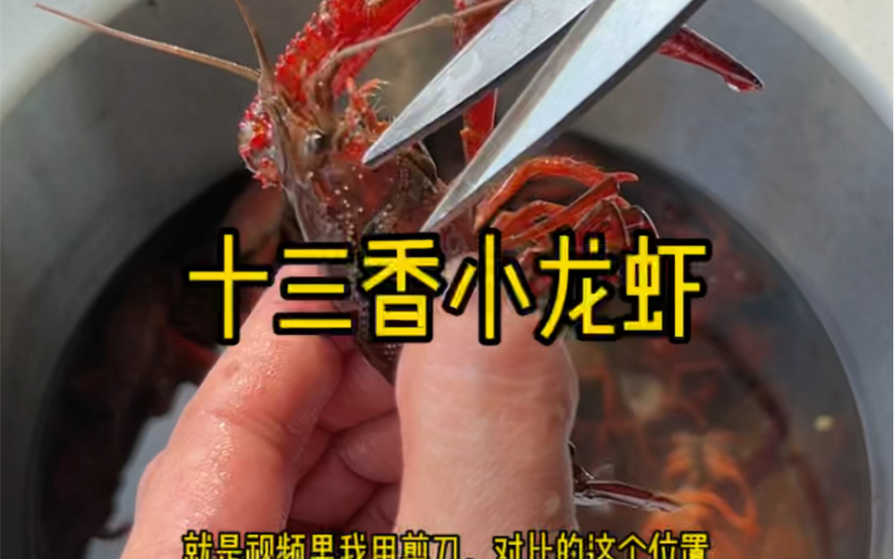 十三香小龙虾做法，这个味道并不会比外面店里面差甚至好很多，凉吃味道好