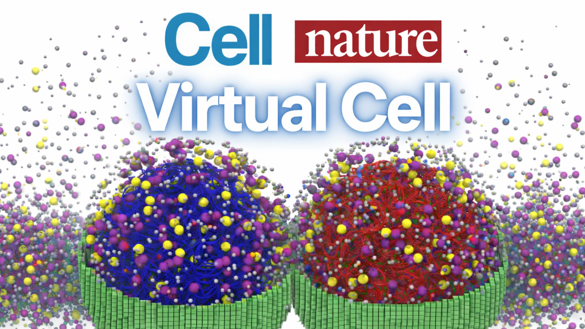 虚拟细胞首次完整模拟！！AIVC天亮了？？