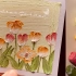 [油画棒教程]画一幅春日里的郁金香吧