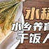 【鬼谷闲谈】水稻驯化史：干饭人是怎么养成的