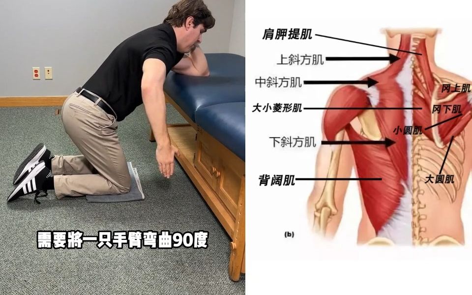 提升胸椎灵活度，缓解颈肩上背部紧张疼痛，运动康复训练