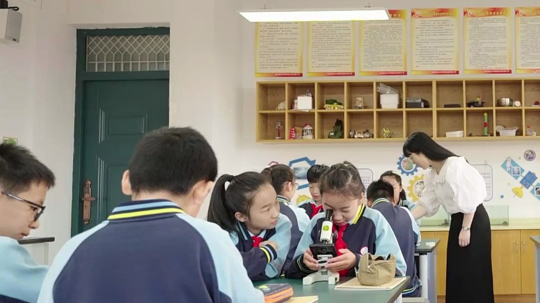 底蕴丰厚/全面发展/学校宣传片/小学宣传片 缩略图