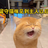 留守半个月煤气罐罐快气炸了！猫咪：人!听到我的怒吼了吗?      哈哈骂的太脏了