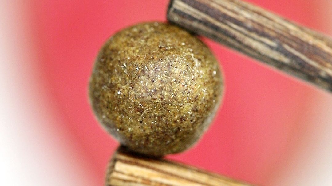 出远门不用带水？复刻测试明朝千里水葫芦丸