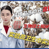 【生物硕士测评】“棉柔卫生巾”居然不是纯棉！实验测评哪款卫生巾值得买