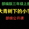 【公开课】三上《大青树下的小学》（含课件