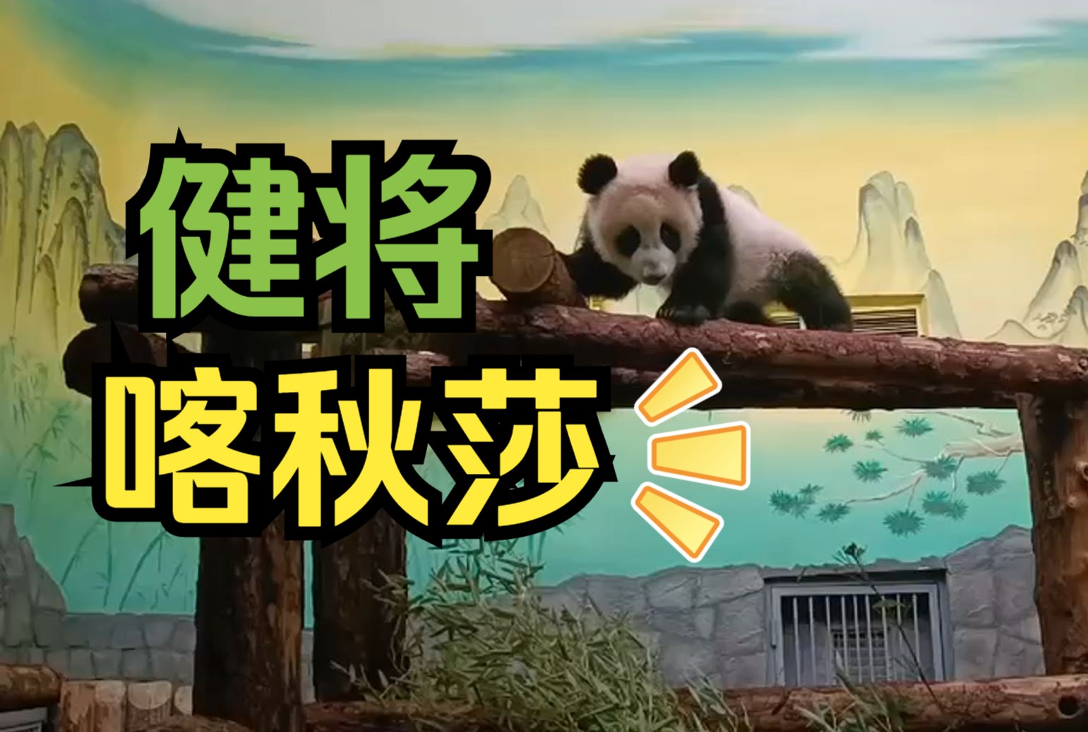 熊猫宝宝运动健将