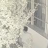 网曝独居女子凌晨在家遭陌生男趴窗偷窥，当事人：最后被抓现行