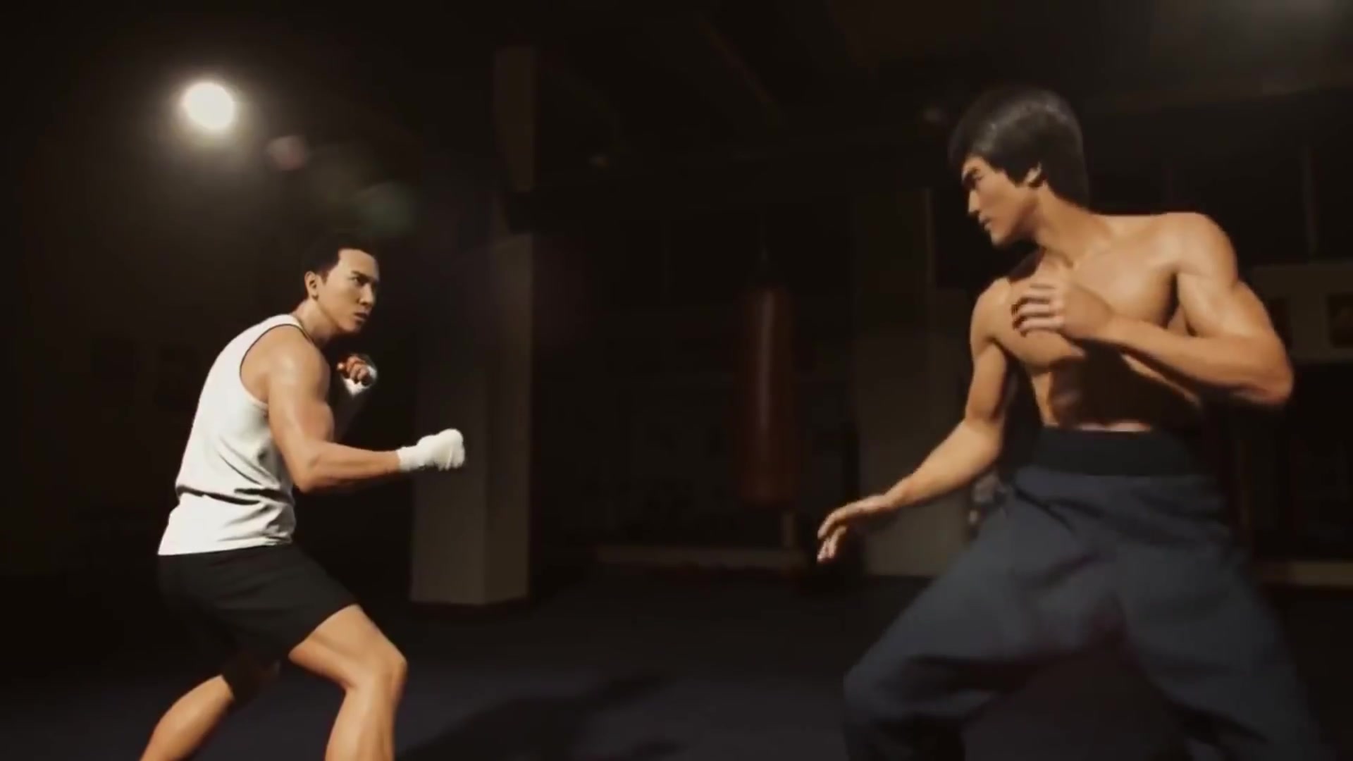 李小龙vs甄子丹