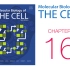 《细胞的分子生物学》第16章 细胞骨架 配套视频（字幕重制版）