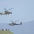 UH60、NH90、AH64阿帕奇和EC655虎式战斗机在贝尔福战斗