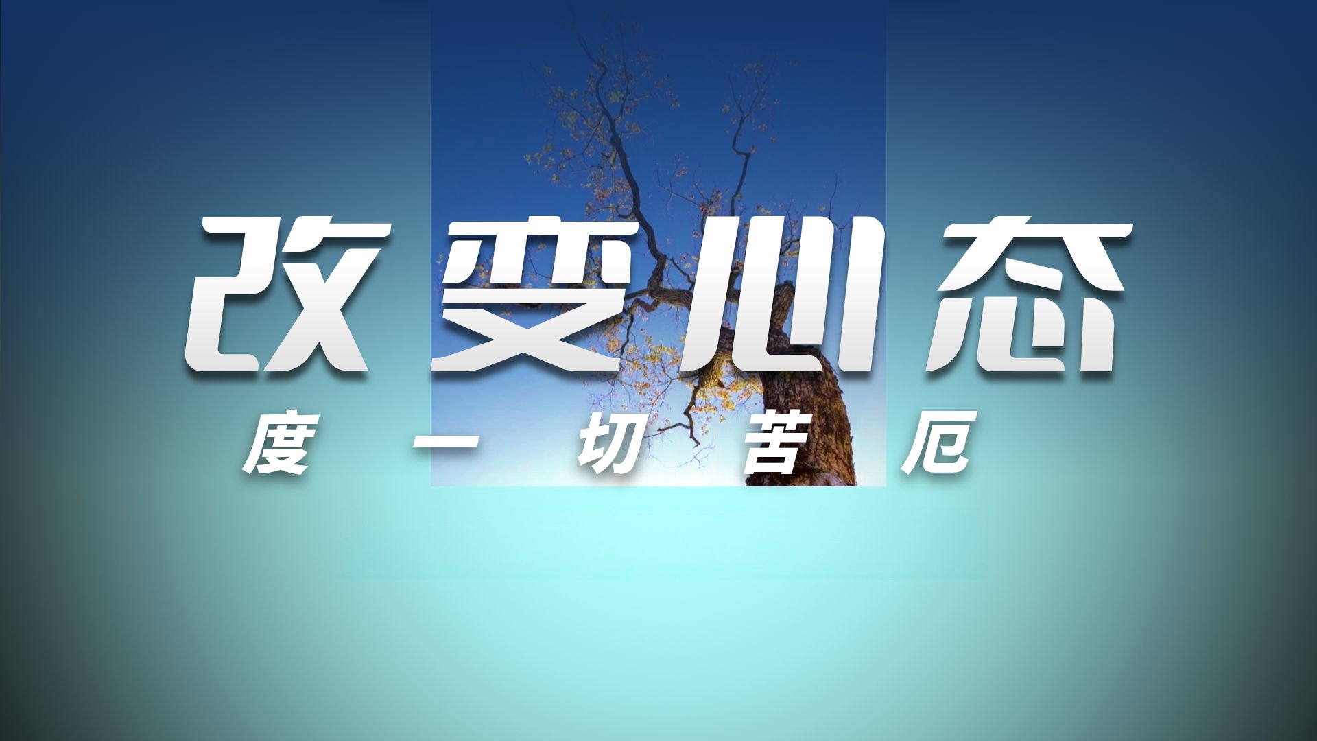 体佛法师开示：定数