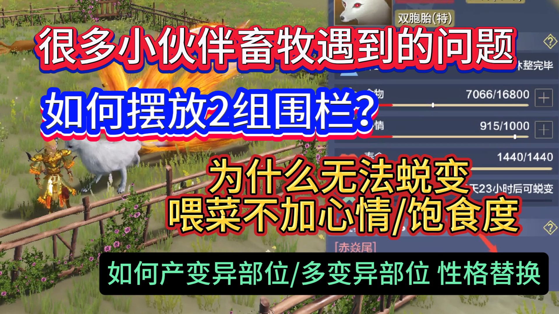 很多小伙伴畜牧遇到的问题 如何摆放2组围栏？为什么喂菜不加心情/饱食度/无法蜕变 如何产变异部位/多变异部位 性格替换