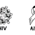 【科普】艾滋病 HIV & AIDS