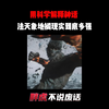 用科学解释神话，孙悟空的法天象地搁现实到底多强