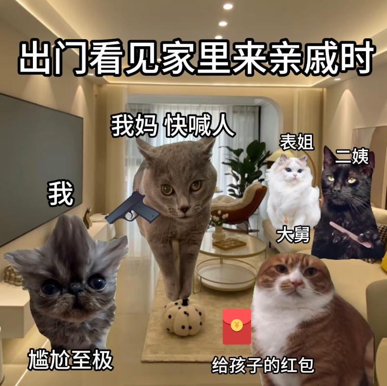 放假在家的猫咪日常哔哩哔哩bilibili