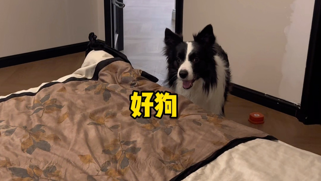 这一天天的…