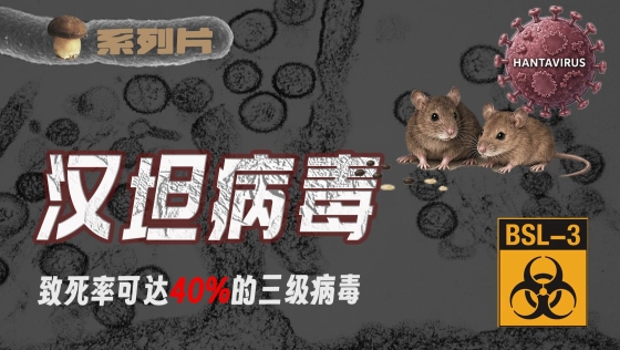 【传染病系列27】血疫：关于汉坦病毒，你需要了解这些