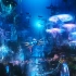 【海王\剪辑】海底世界：亚特兰蒂斯