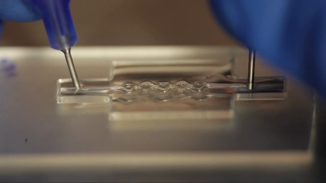Bioprinting- Building in Blood Vessels