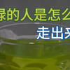 接盘侠（被绿的人）应该怎么走出来