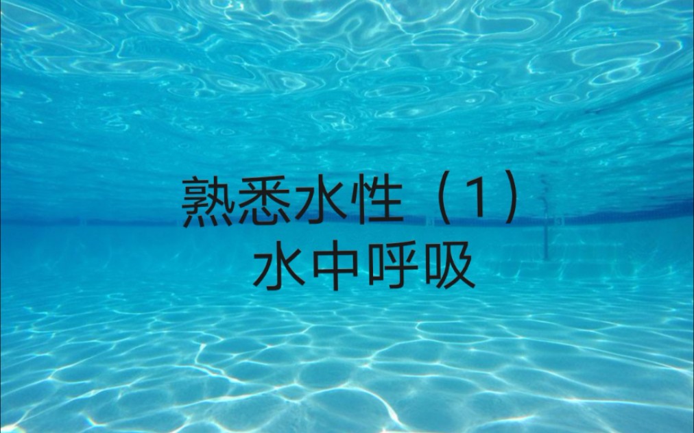 零基础蛙泳教学 掌握水中呼吸方法 1 哔哩哔哩 つロ干杯 Bilibili