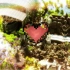 【Minecraft】鲜花的遗物&令人费解的酿酒师