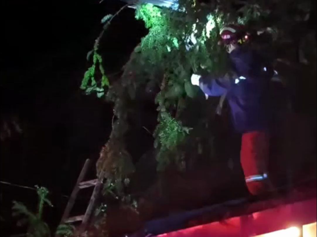 大树被风吹断，倒在自建房上。消防人员顶着雷雨天处置！