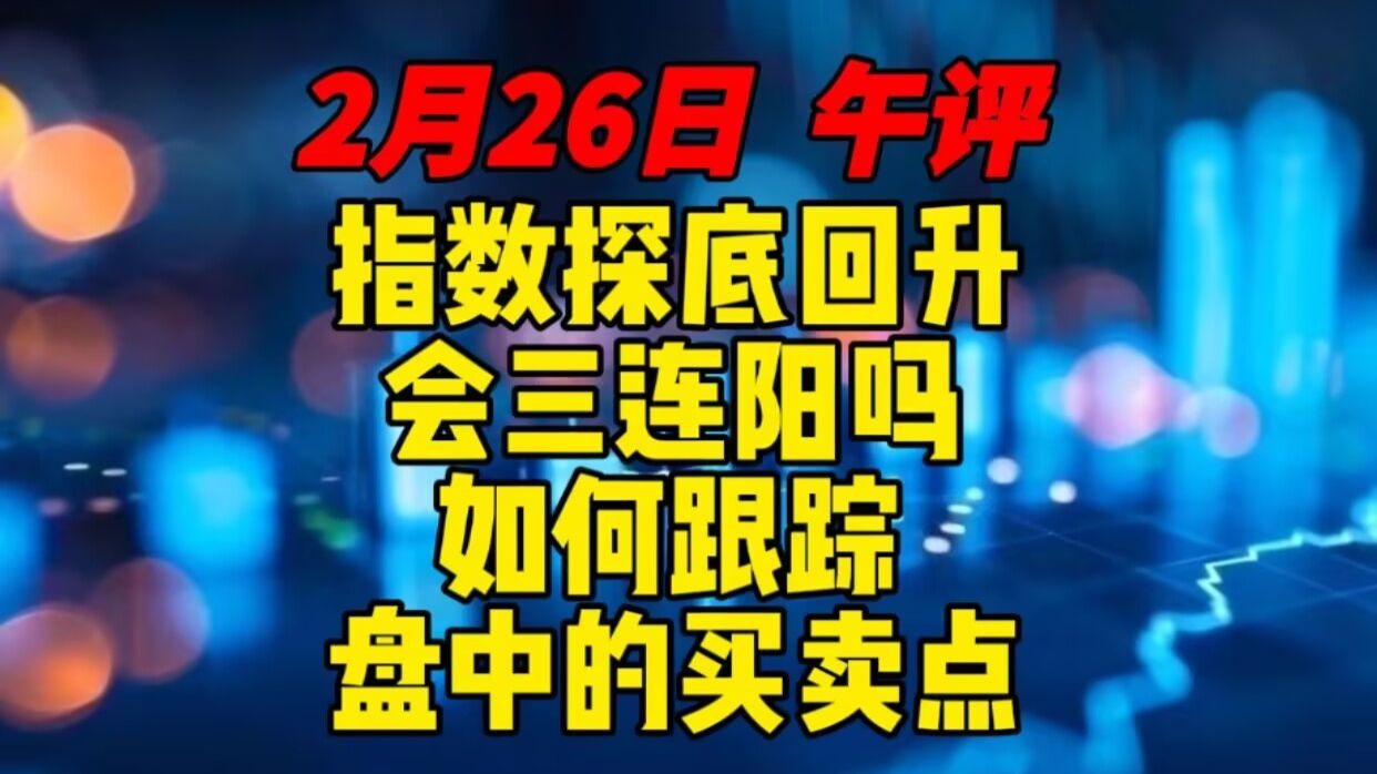 2月26日 午评 指数探底回升，会三连阳吗？如何跟踪盘中的买卖点！