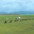 去新疆骑马，是怎样的体验？