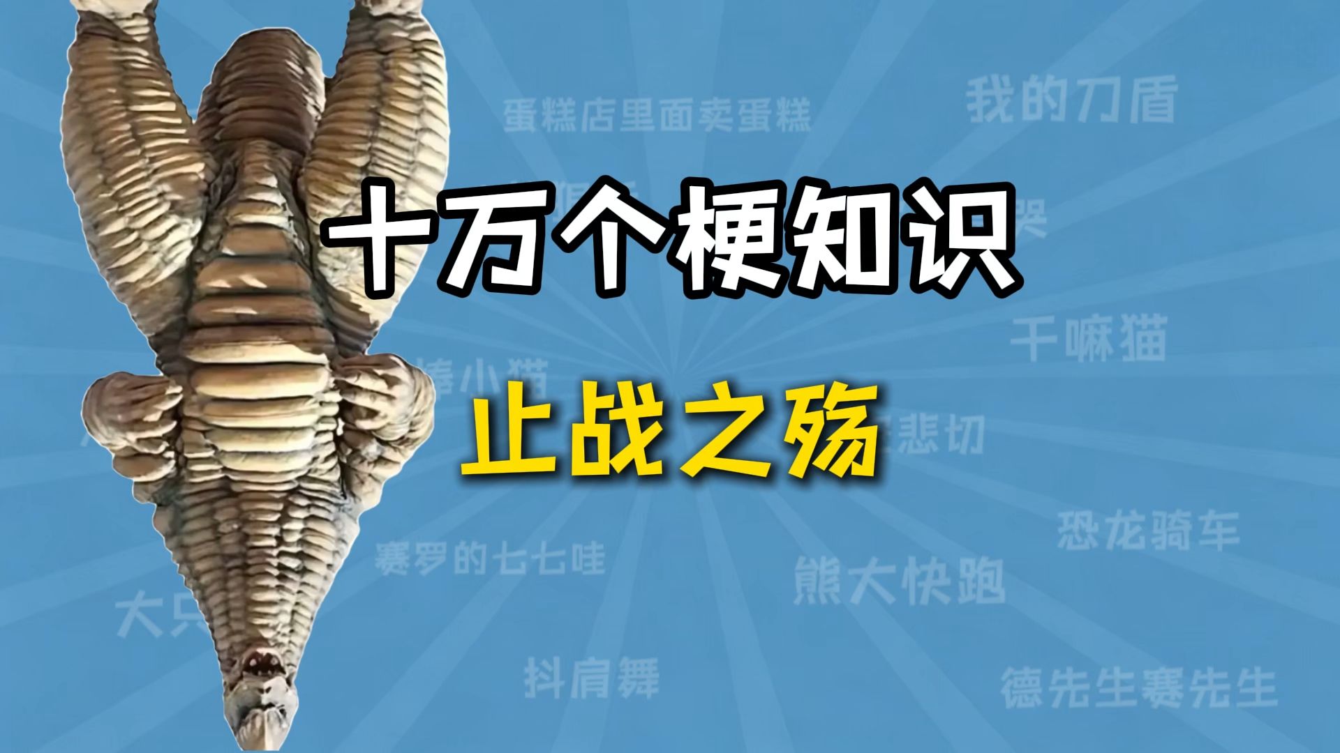 止战之殇是什么梗？【十万个梗知识】