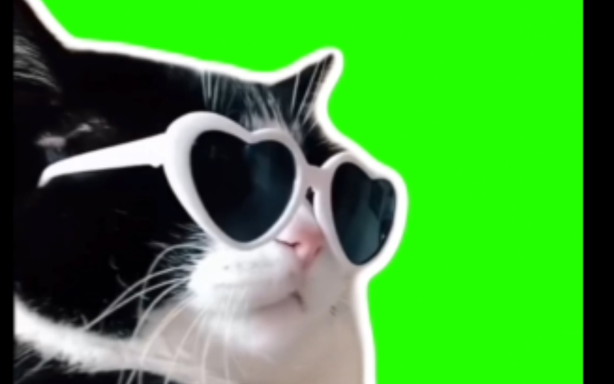 【绿幕素材】【猫meme】DJ 猫 - 自抠素材