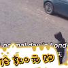 英国伦敦0元购的一天