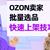 俄罗斯ozon卖家批量选品，快速上架技巧