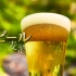 【新日本风土记】啤酒_20190913_日字