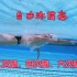 自由泳提高：自由泳二次腿、四次腿、六次腿技术，掌握自由泳节奏。