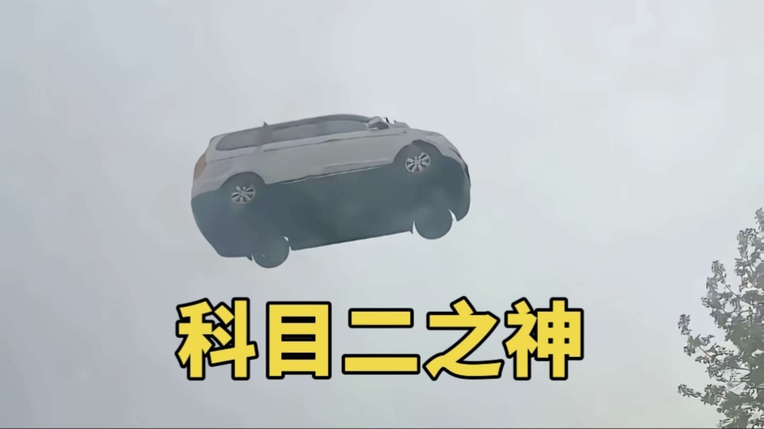 科 目 二 之 神 ！